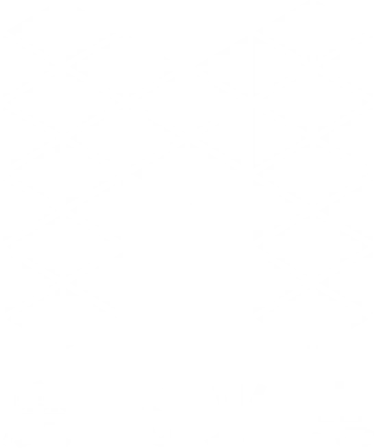 Morphotonics 魔飞光电